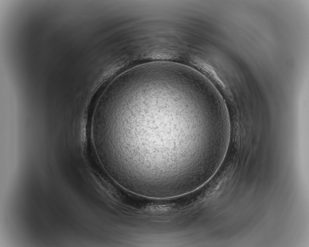X0000095880299200801181211