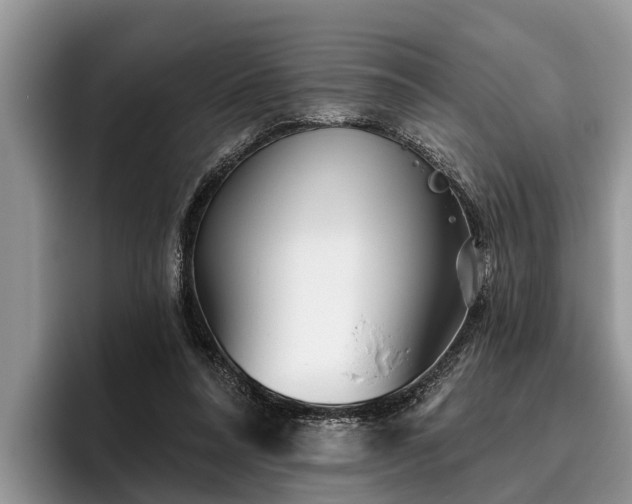 X0000095880304200801181211
