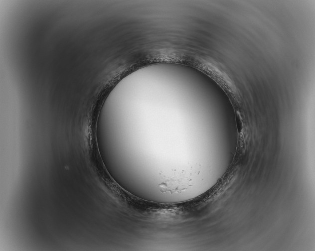 X0000095880306200801181211