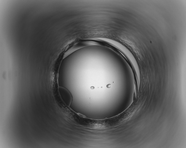 X0000095880308200801181211