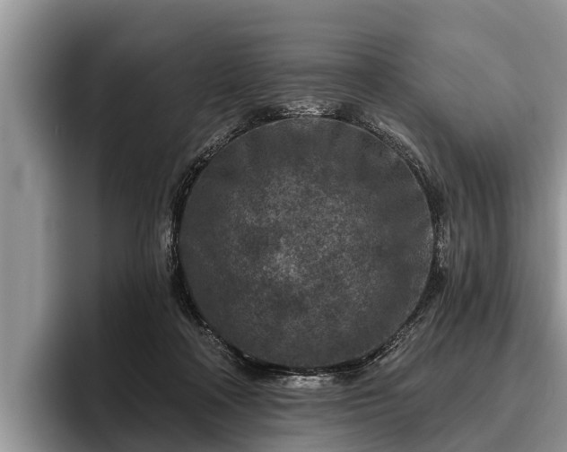 X0000095880314200801181211