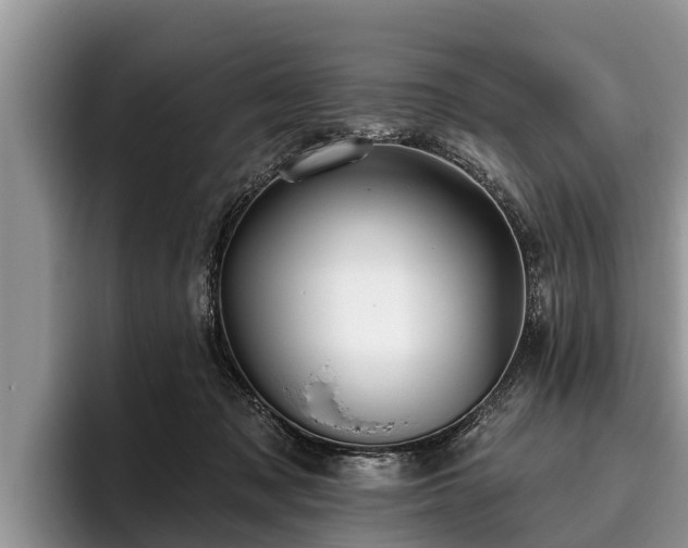 X0000095880317200801181211