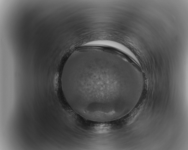 X0000095880319200801181211