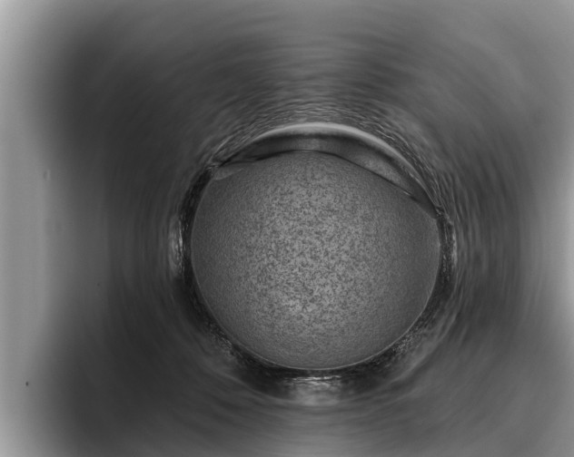 X0000095880320200801181211