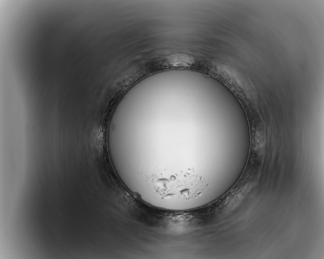 X0000095880321200801181211