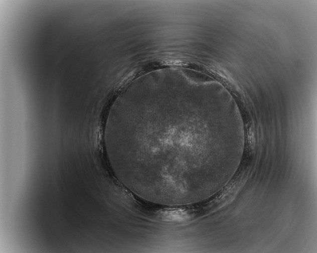 X0000095880322200801181211