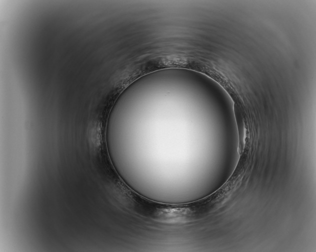 X0000095880323200801181211
