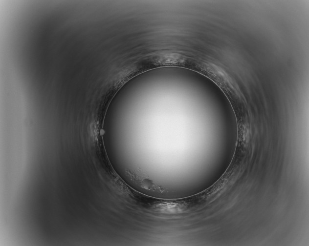 X0000095880326200801181211