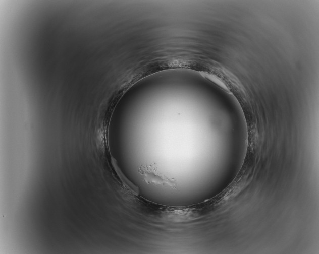 X0000095880329200801181211