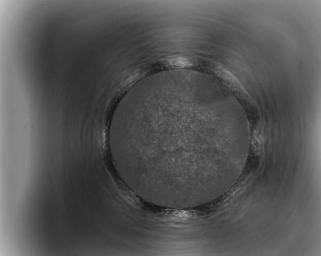 X0000095880330200801181210
