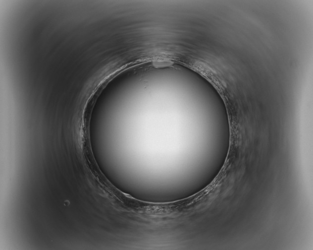 X0000095880338200801181210