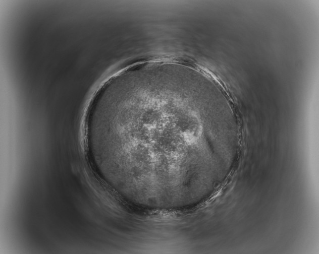 X0000095880343200801181210