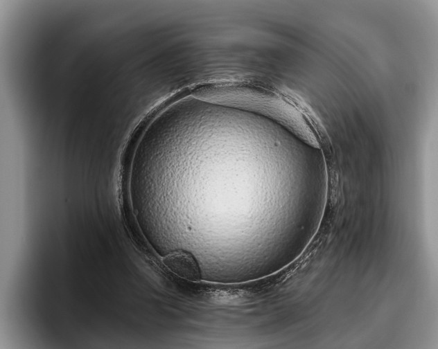 X0000095880346200801181210