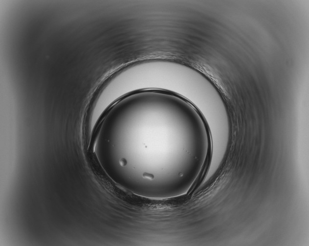 X0000095880348200801181210
