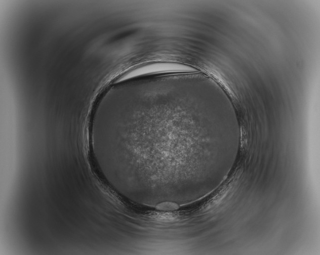 X0000095880349200801181210