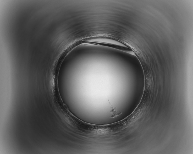 X0000095880350200801181210