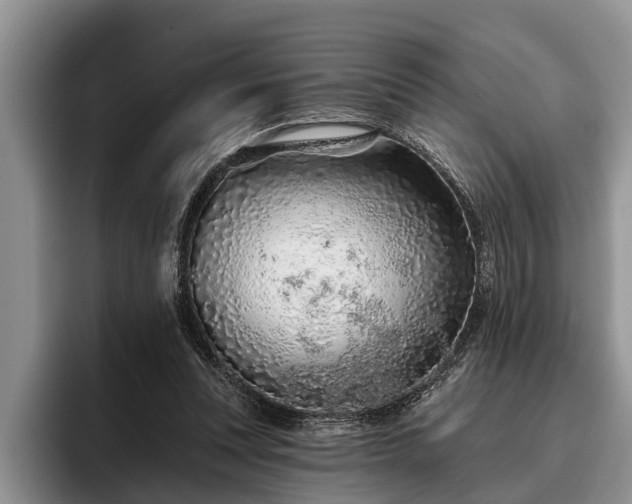 X0000095880351200801181210