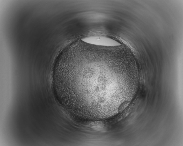X0000095880353200801181210