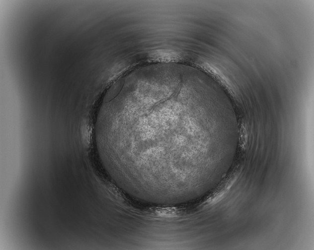 X0000095880355200801181210