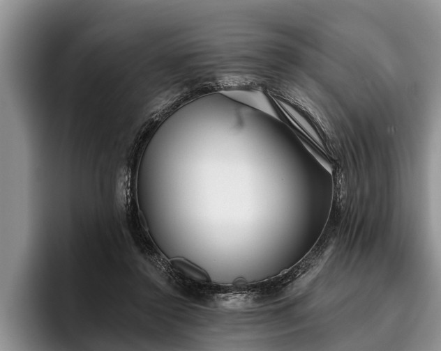 X0000095880356200801181210
