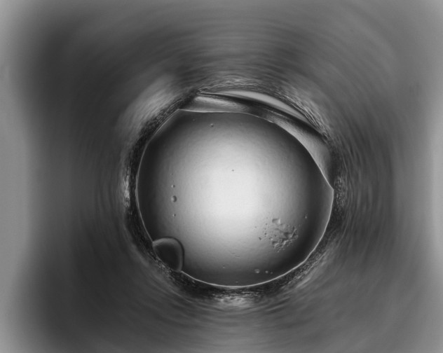X0000095880358200801181210