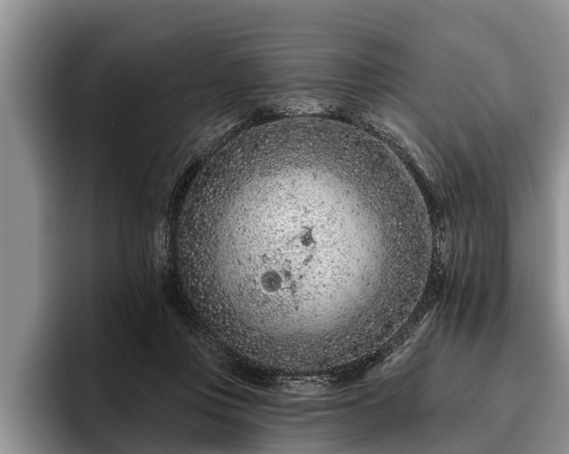 X0000095880359200801181210