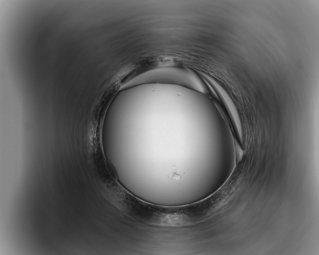 X0000095880360200801181210