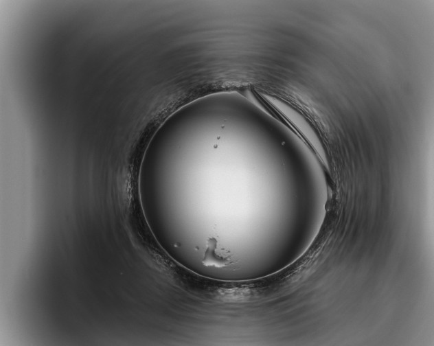 X0000095880362200801181210