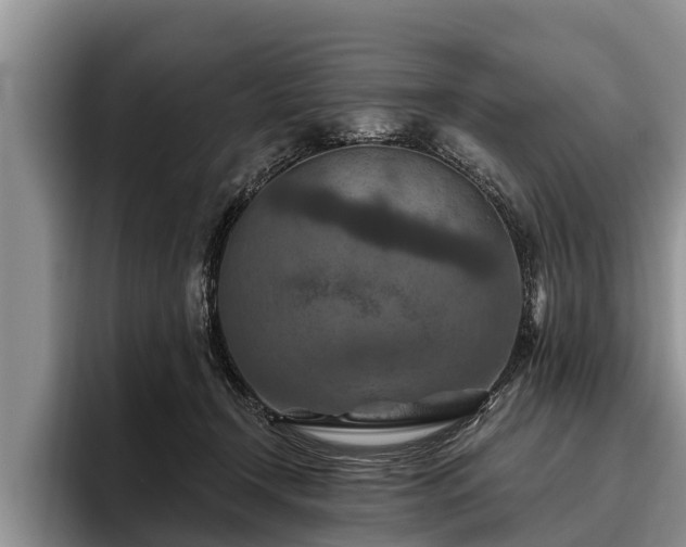 X0000095880366200801181210