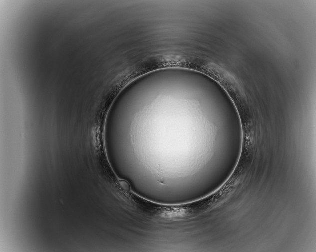 X0000095880369200801181210