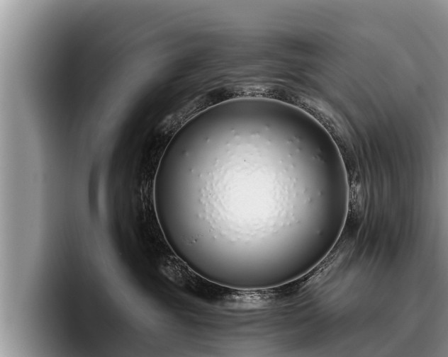 X0000095880381200801181210