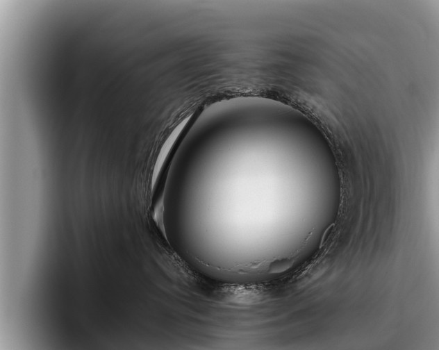 X0000095880384200801181210