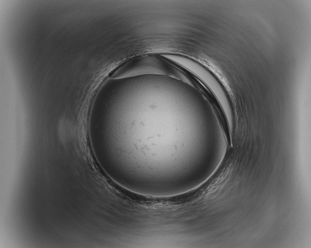 X0000095880385200801181210