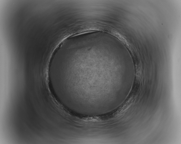 X0000095880386200801181210