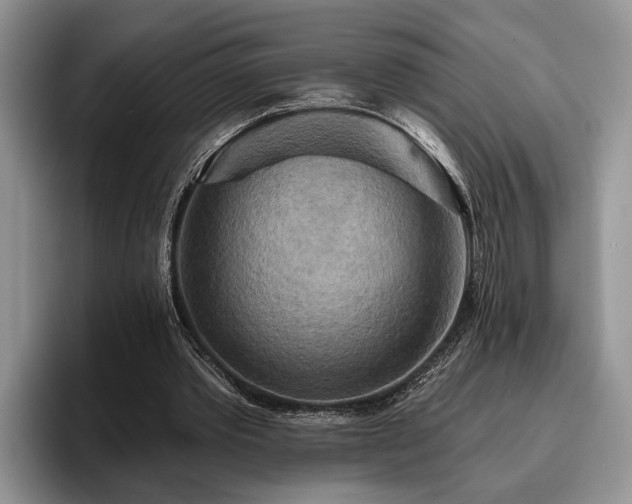 X0000095880389200801181210