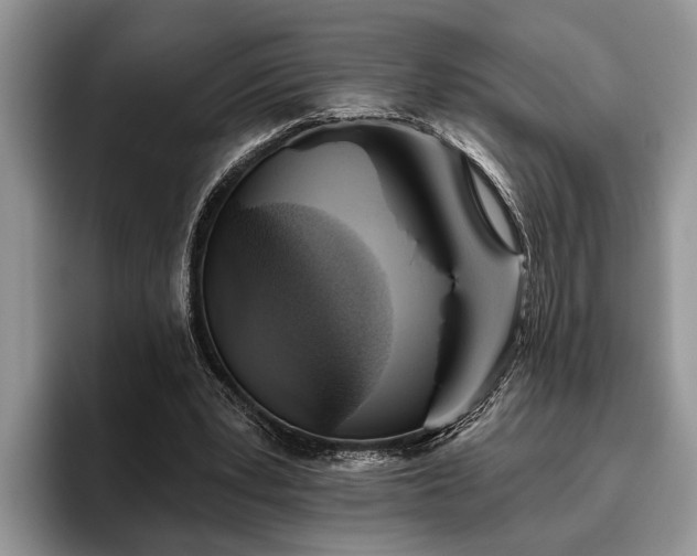 X0000095880391200801181210