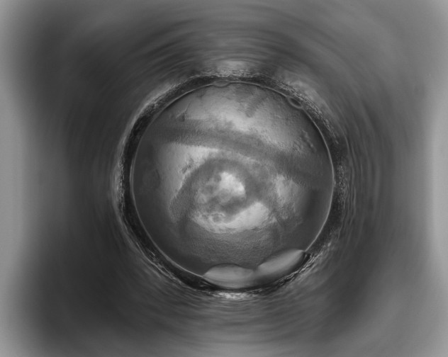 X0000095880392200801181210