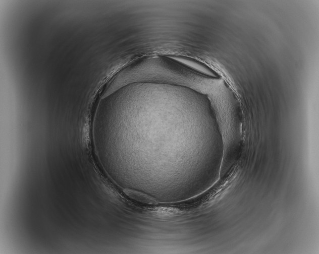 X0000095880393200801181210