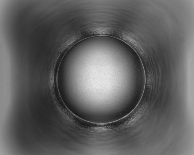 X0000095880394200801181210