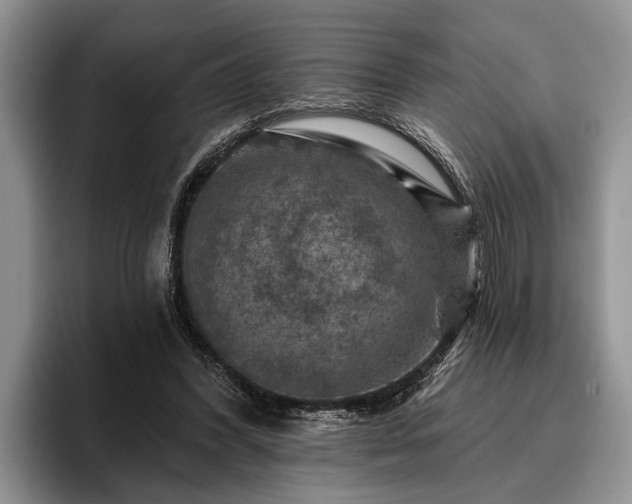 X0000095880396200801181210