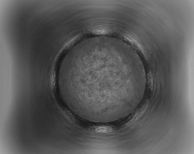 X0000095880400200801181210