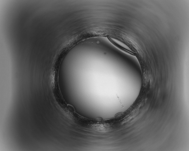 X0000095880404200801181210