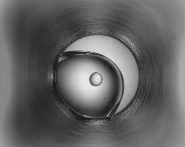 X0000095880405200801181210