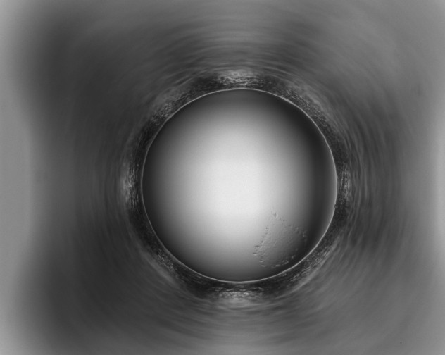 X0000095880408200801181209