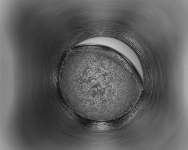 X0000095880409200801181209