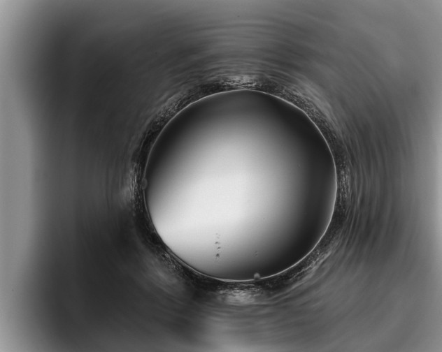 X0000095880412200801181209