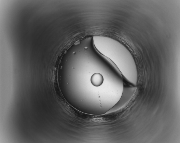 X0000095880413200801181209