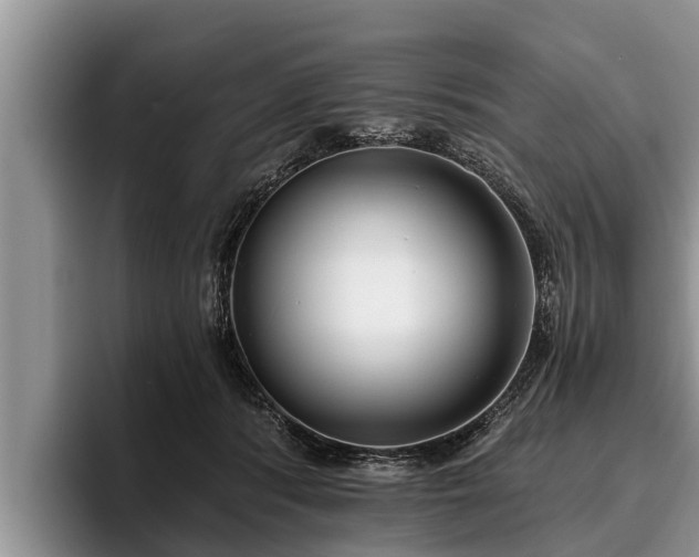 X0000095880416200801181209