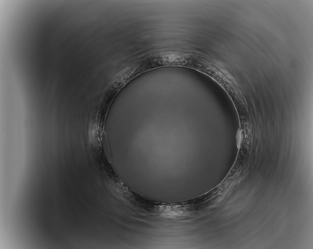 X0000095880419200801181209