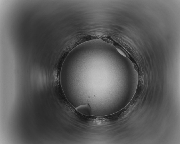 X0000095880420200801181209